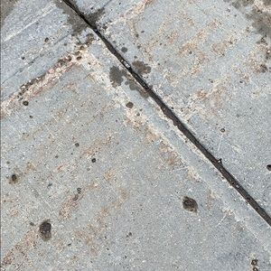 Meet your Posher, Robin